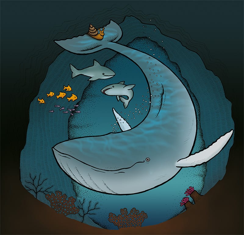 Children's book illustration depicting Julia Donaldson's 'The Snail and the Whale'